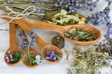 Народні засоби лікування хронічного пієлонефриту