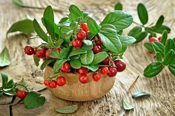 Народні засоби лікування хронічного пієлонефриту