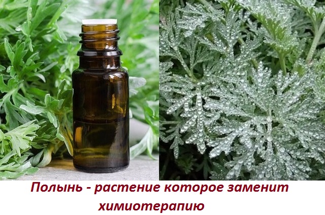 Народні засоби при лікуванні раку
