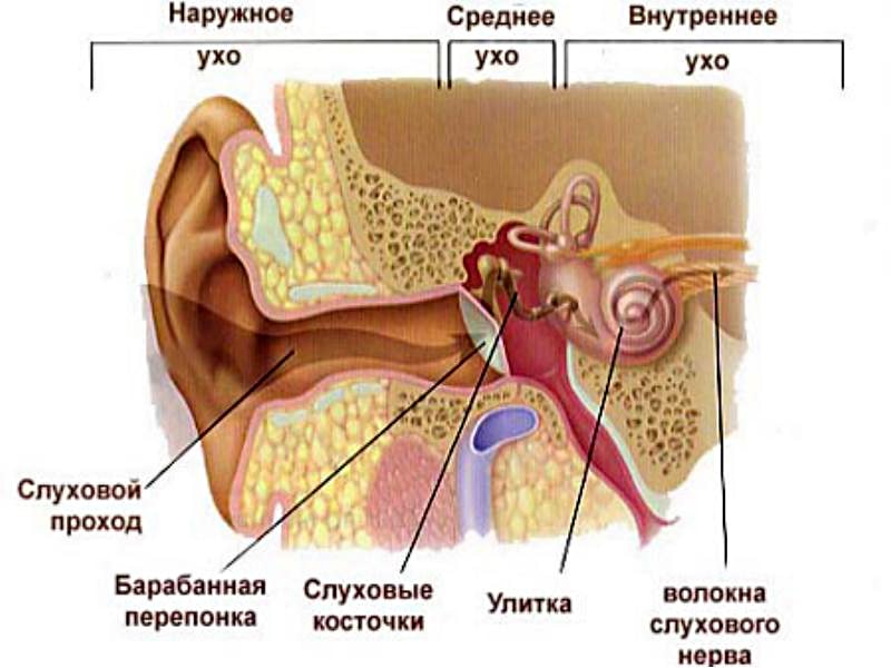 Народні засоби від болю в вухах у дорослих