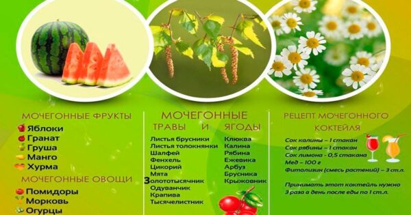 Народні засоби від гіпертонії Ефективні способи боротьби рецепти і рекомендації