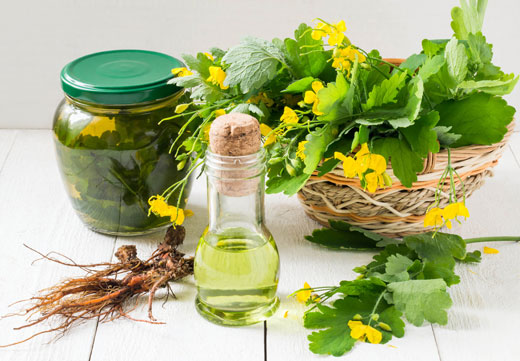 Народні засоби від мозолів: народні способи лікування сухих мозолів на ногах