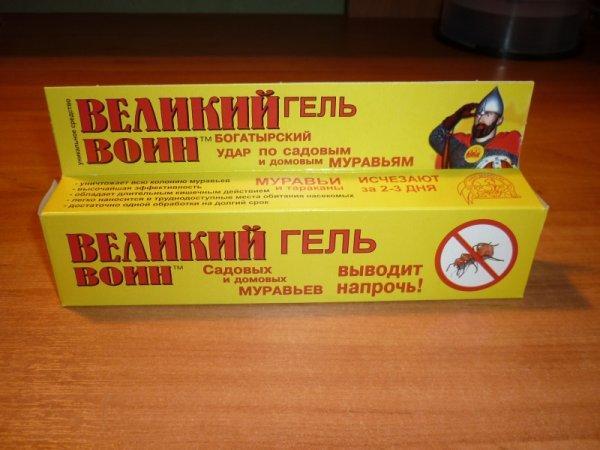 Народні засоби від мурашок в квартирі та будинку – як позбутися від мурашок народними засобами