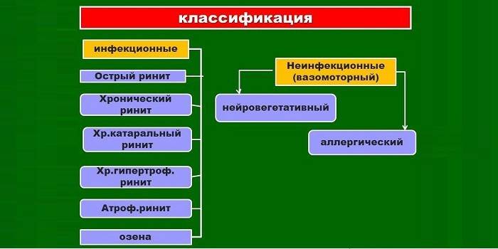 Народні засоби від нежитю і закладеності носа для дітей