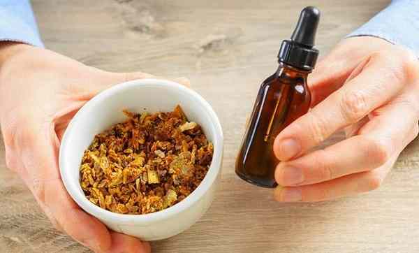 Народні засоби від підвищеної кислотності шлунка