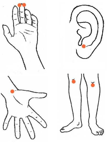 Народні засоби від підвищеного тиску: найбільш ефективні методи зниження в домашніх умовах