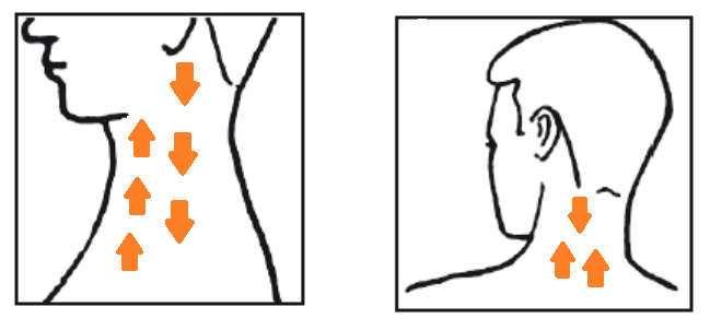 Народні засоби від підвищеного тиску: найбільш ефективні методи зниження в домашніх умовах