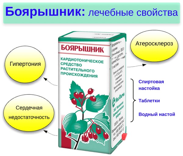 Народні засоби від підвищеного тиску: найбільш ефективні методи зниження в домашніх умовах