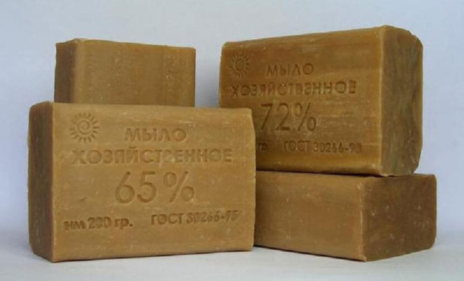 Народні засоби від постільних клопів