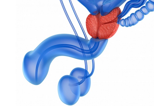 Народні засоби від простатиту і імпотенції