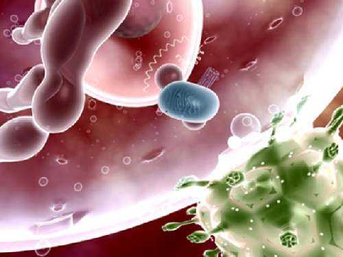 Народні засоби від ВІЛ інфекції: ефективність і рецепти