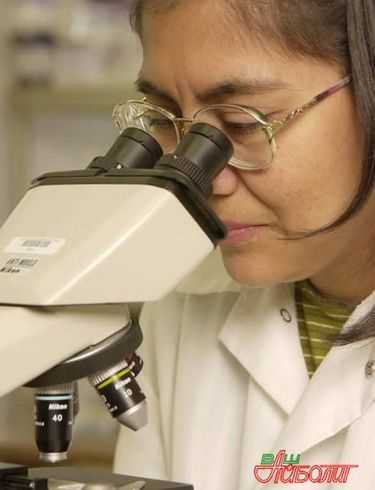 Народні засоби від ВІЛ інфекції: ефективність і рецепти