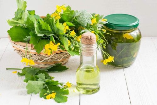 Народні засоби від запалення придатків і яєчників