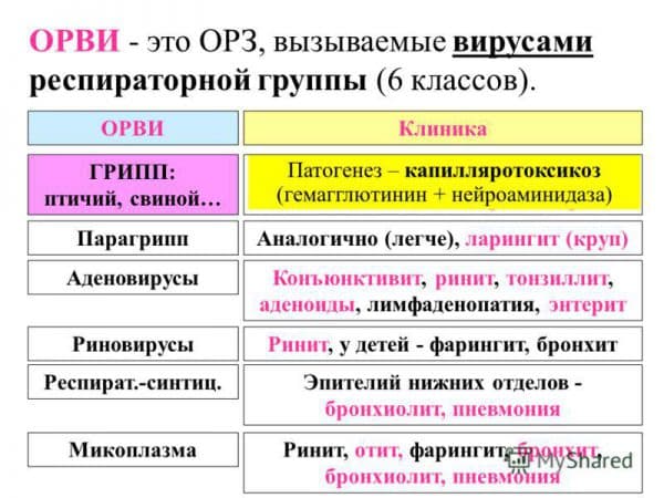 Народні засоби від застуди і кашлю Народні засоби від застуди і кашлю