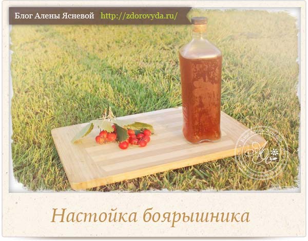 Настоянка глоду в домашніх умовах: популярні рецепти. Як готується настоянка глоду в домашніх умовах – Автор Катерина Данилова