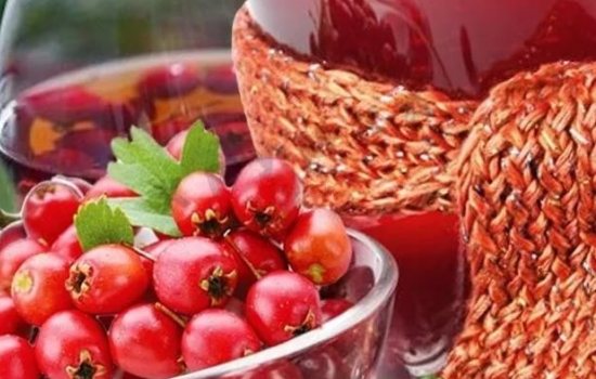 Настоянка глоду в домашніх умовах: популярні рецепти. Як готується настоянка глоду в домашніх умовах – Автор Катерина Данилова