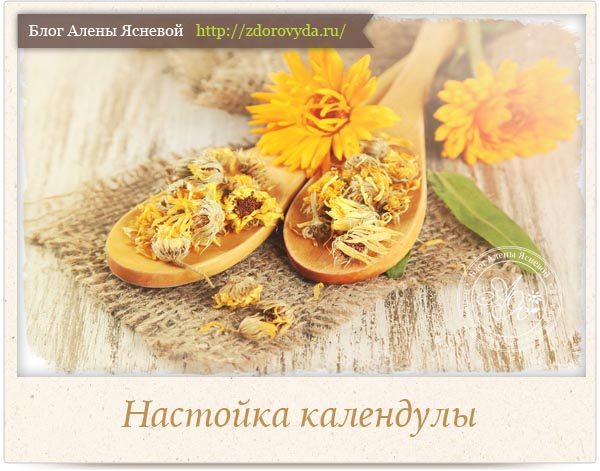 Настоянка календули від чого допомагає на спирту