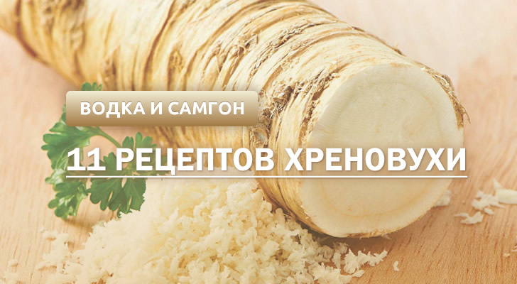 Настоянка з хрону на горілці для лікування Настоянка з хрону на горілці для лікування