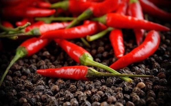 Настоянка з шабельника для суглобів рецепт приготування