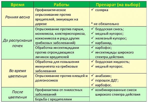 Обробка винограду навесні від хвороб і шкідників