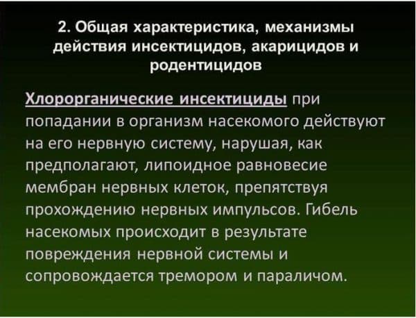Обробка винограду навесні від хвороб і шкідників