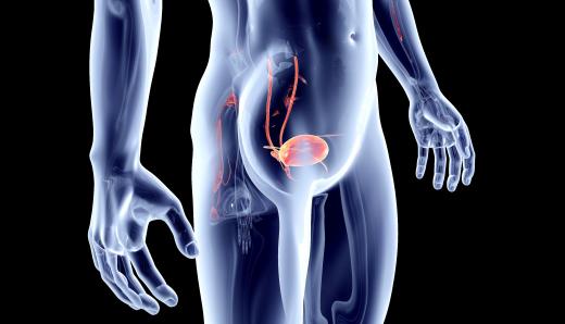 Обсяг залишкової сечі в сечовому міхурі норма і відхилення