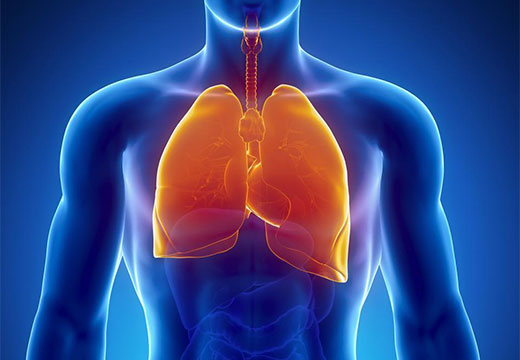 Очищення бронхів і легенів народними засобами в домашніх умовах