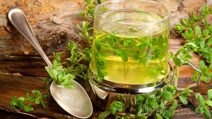 Очищення бронхів і легенів народними засобами в домашніх умовах