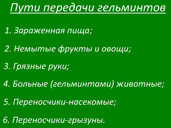 Очищення організму від паразитів в домашніх умовах