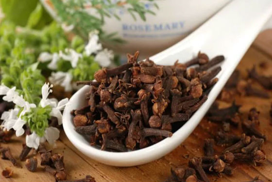 Очищення організму від паразитів в домашніх умовах