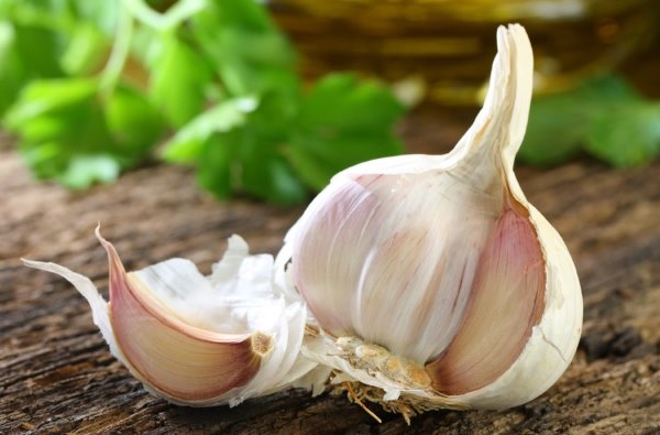 Очищення організму від паразитів в домашніх умовах