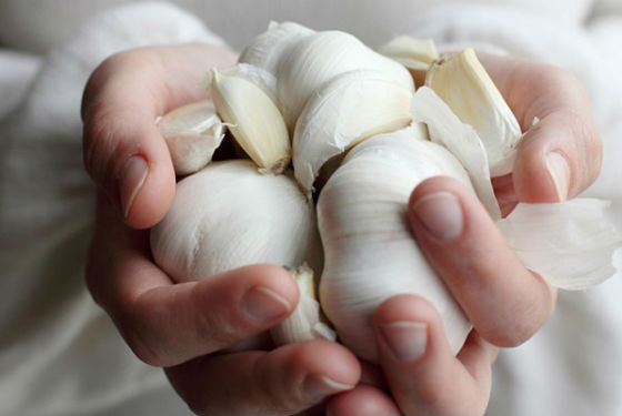 Очищення організму від паразитів в домашніх умовах