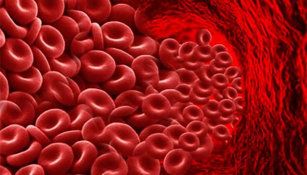 Очищення організму від шлаків і токсинів в домашніх умовах