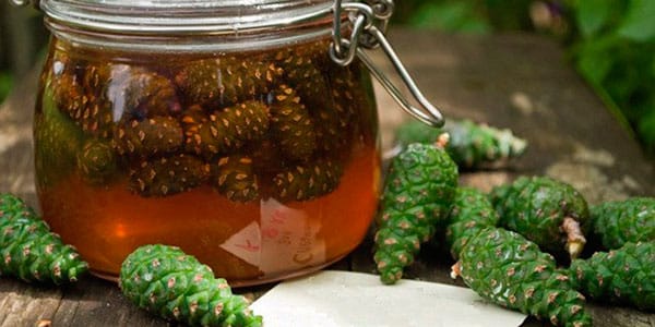 Очищення організму від шлаків і токсинів в домашніх умовах