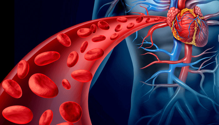 Очистити судини від холестеринових бляшок і тромбів