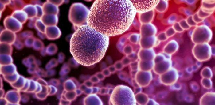 Одностороння пневмонія симптоми та шляхи зараження