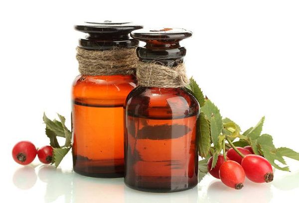 Олія шипшини – користь і шкода. Властивості і застосування олії шипшини для лікування і в косметології