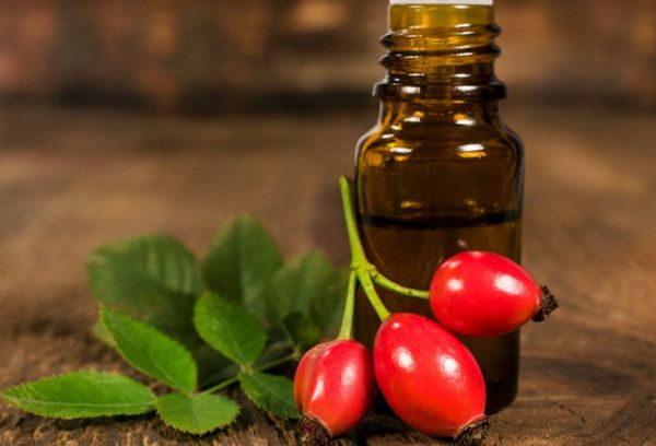 Олія шипшини – користь і шкода. Властивості і застосування олії шипшини для лікування і в косметології