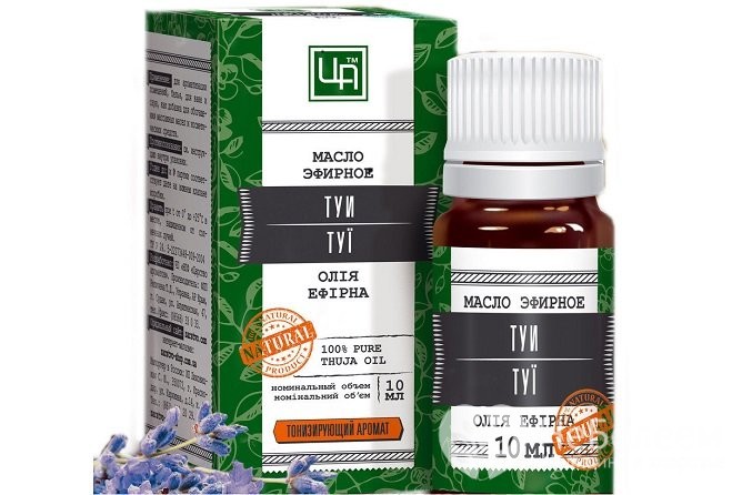 Олія туї при аденоїдах для дітей: інструкція і схема лікування Олія туї при аденоїдах для дітей: інструкція і схема лікування