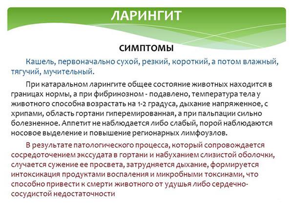 Особливості розвитку ларингіту і як правильно лікувати його у дорослих. Чим лікують ларингіт? Ларингіт: лікування антибіотиками. Чим лікувати ларингіт у дорослого