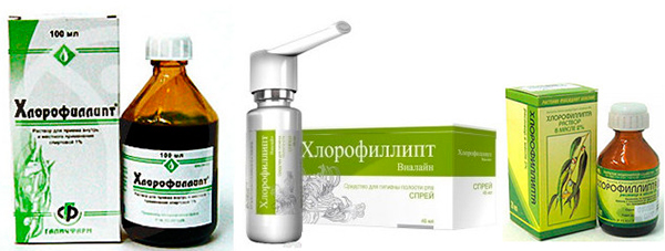 Особливості застосування хлорофіліпту при ангіні