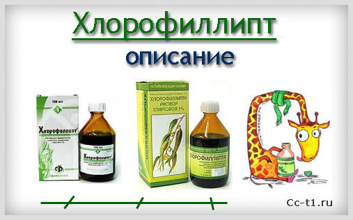 Особливості застосування розчину хлорофіліпту при лор-захворюваннях. Хлорофіліпт спиртової: особливості застосування