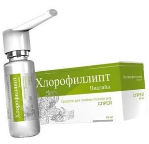 Особливості застосування розчину хлорофіліпту при лор-захворюваннях. Хлорофіліпт спиртової: особливості застосування