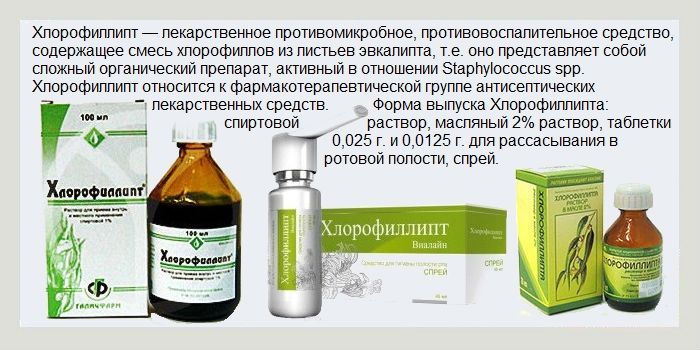 Особливості застосування розчину хлорофіліпту при лор-захворюваннях. Хлорофіліпт спиртової: особливості застосування