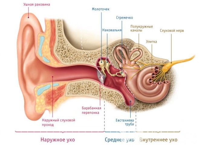 Отит у дитини симптоми і лікування
