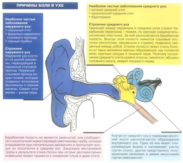 Отит у дорослих: симптоми і лікування