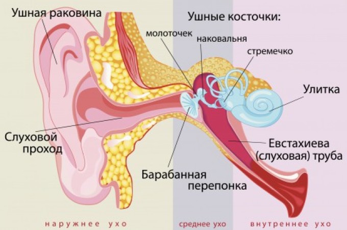 Отит у немовляти, як розпізнати