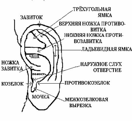 Причини появи прищів на мочці вуха