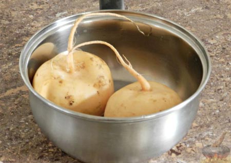 Ріпа для лікування прищів