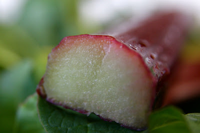 Ревінь для шкіри обличчя